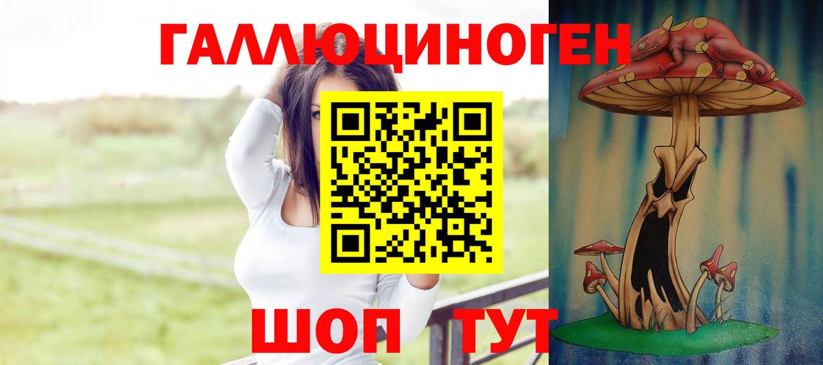 Новороссийск  Псилоцибиновые грибы мухоморы  Вход с VPN 